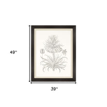 Sepia Corona Botanical Brown Frame Print Living Room Wall Art