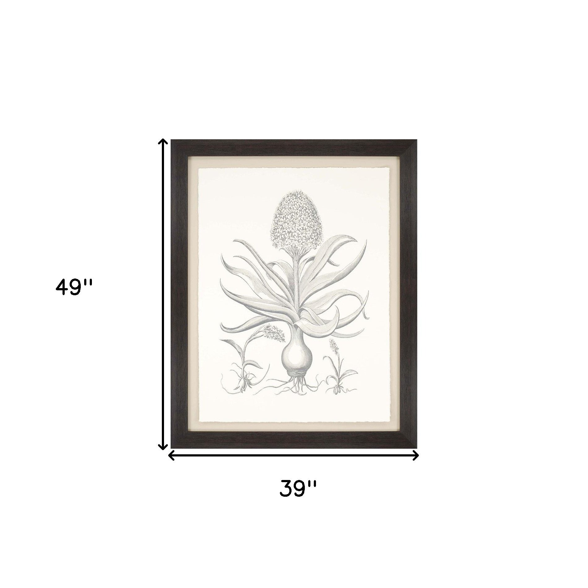 Hyacinthus Sepia Botanical Brown Frame Print Wall Art