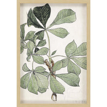 Green Oversized Botanical Brown Shadow Box Framed Wall Art