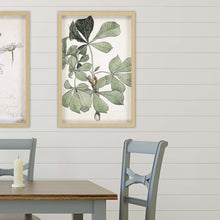 Green Oversized Botanical Brown Shadow Box Framed Wall Art