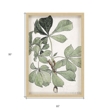 Green Oversized Botanical Brown Shadow Box Framed Wall Art
