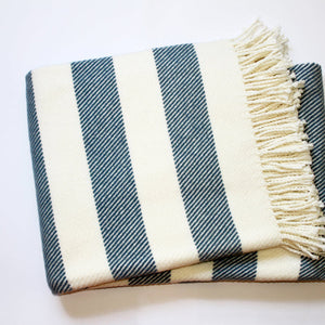 Cream and Slate Slanted Stripe Fringed Throw Blanket