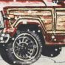 13 英寸 X 18 英寸白色綠色黑色和紅色拉鍊滌綸聖誕假期貨車抱枕