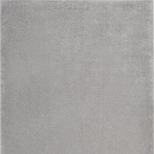 Silver Grey Non Skid Indoor Outdoor Area Rug - 4' x 6'