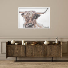 Highland Cow White Picture Frame Photograph Wall Art