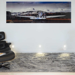 Gray Faux Sheepskin Area Rug - 5' x 8'