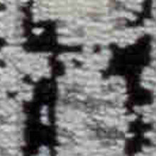 8' X 11' Black Oriental Area Rug