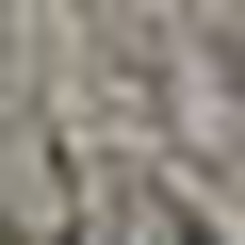 4' X 6' Gray And Black Hand Woven Area Rug