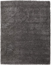 Ivory Shag Power Loom Stain Resistant Area Rug - 4' x 6'