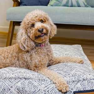 Lounger Pet Bed in Sapphire Spaniel