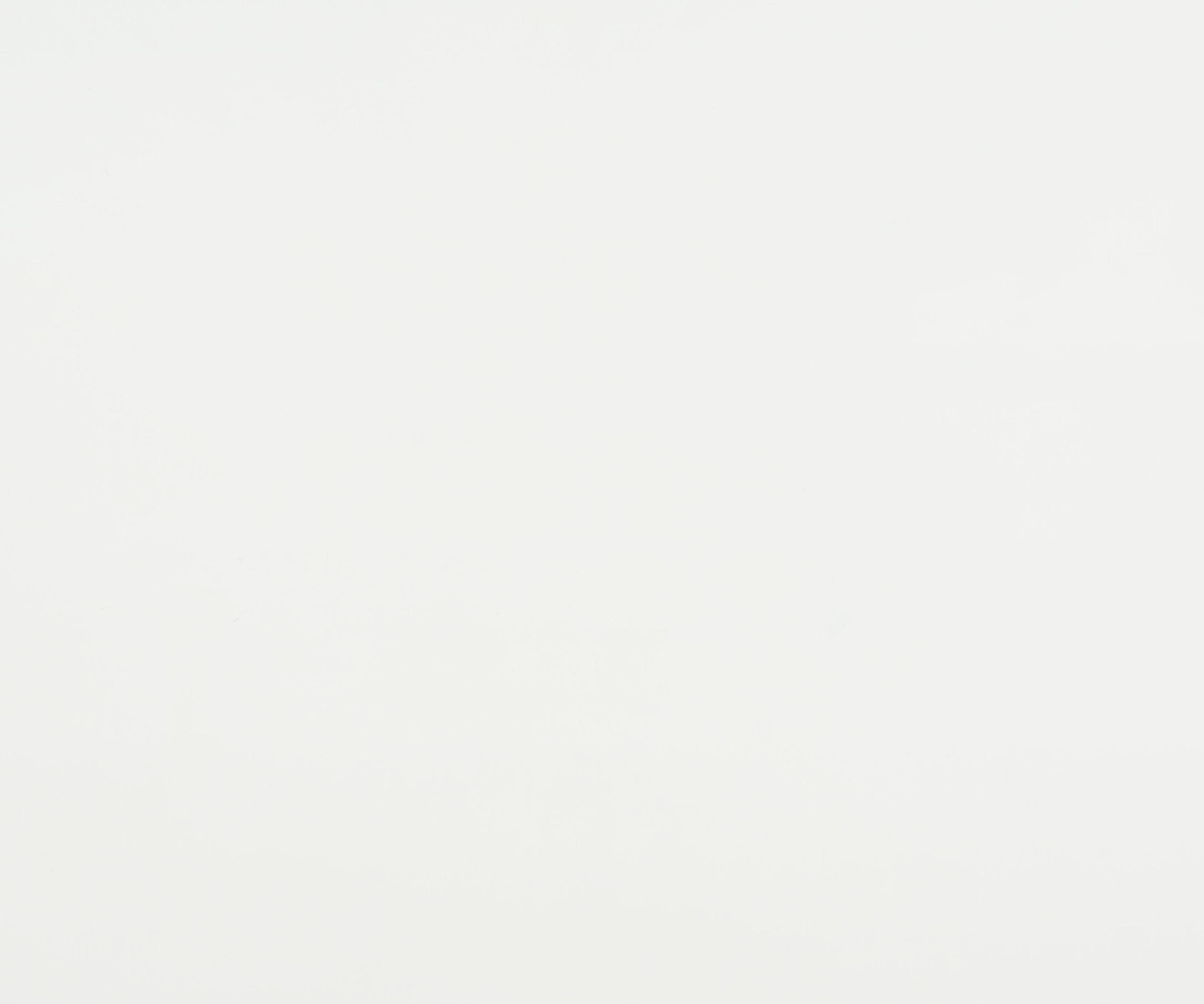 White Versatile Shoe Rack Shelving Unit